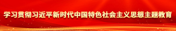 日韩式操小穴学习贯彻习近平新时代中国特色社会主义思想主题教育